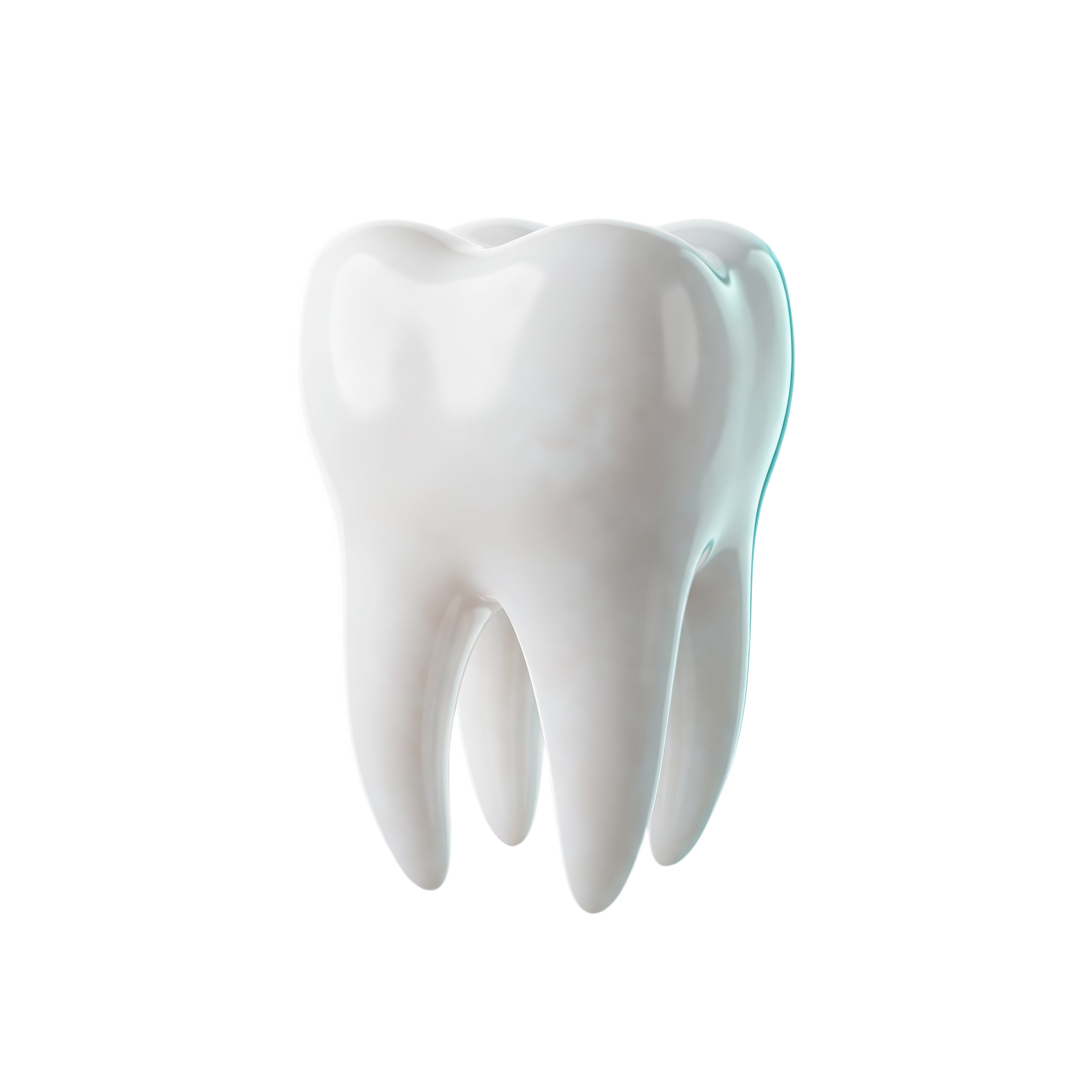 Detailed 3D molar anatomical model